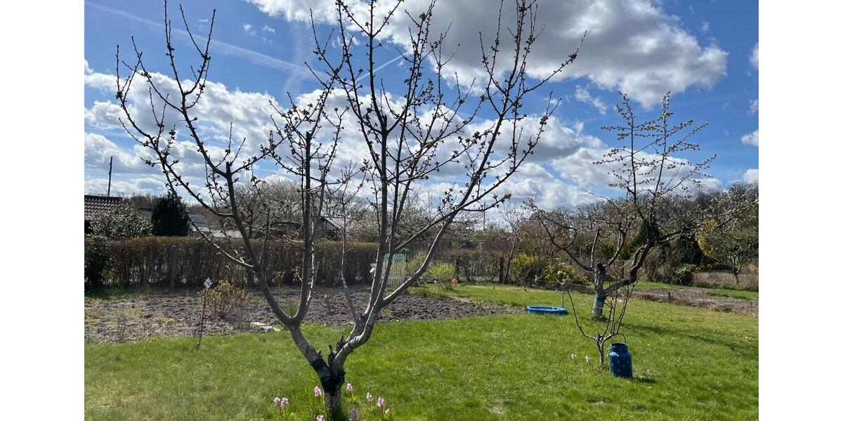 Grundstück Wolfsburg Almke - 3.800&euro; | Angebot:26056125