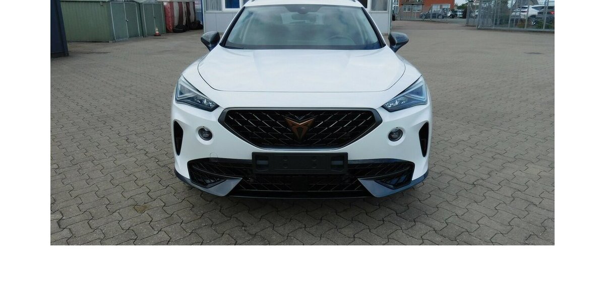 Cupra Formentor 1.5 TSI BMT Klima LED Navi AHK 27.200 km 23.990 € Vordorf 38533