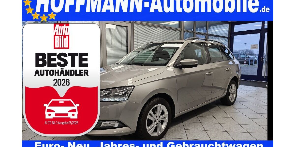 Skoda Fabia 123.062 km 9.400 &euro; Wolfsburg-Heiligendorf 38444