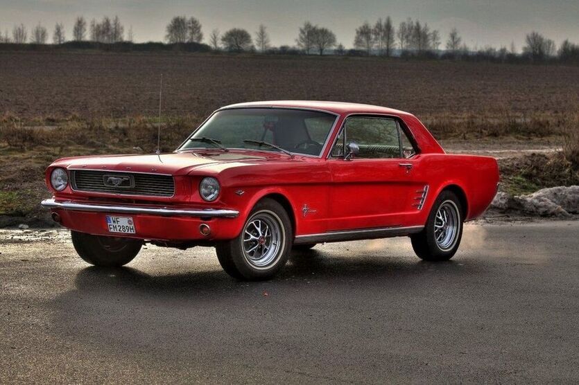 Mustang