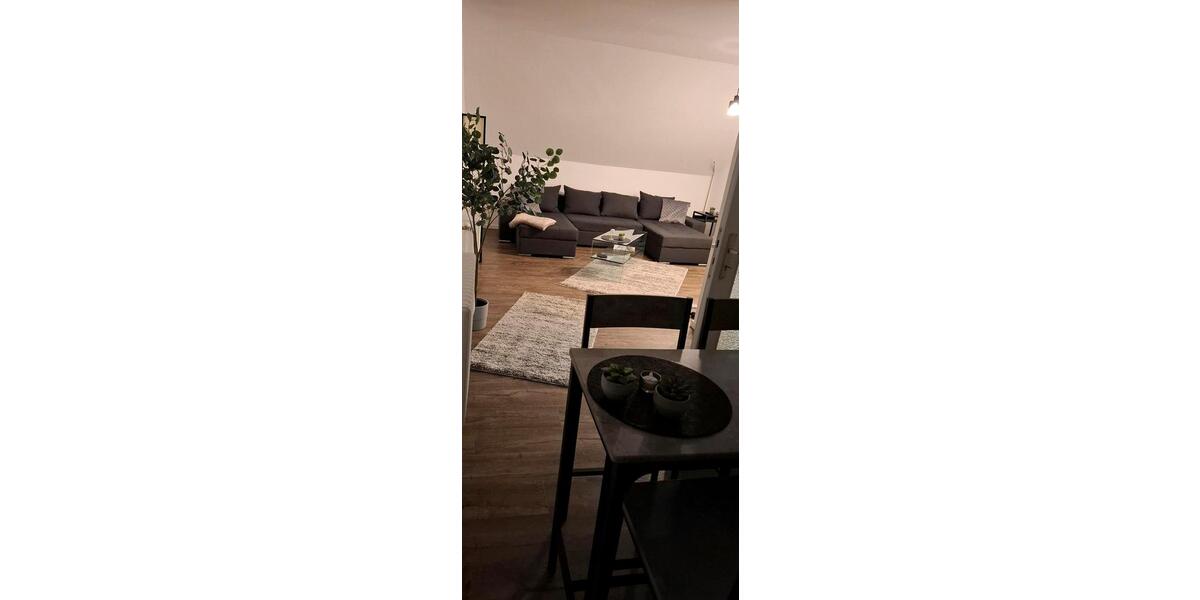 vollmöblierte 2-Zi. Wohnung 60qm - all inklusive - Wolfsburg 2 zimmer