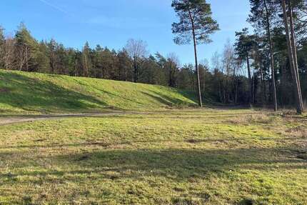 Grundstück zu verkaufen in Sassenburg 42.100 € 324 m² zimmer