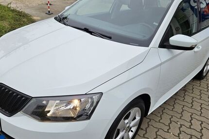 Skoda Fabia 97.215 km 8.289 € Wolfsburg 38446