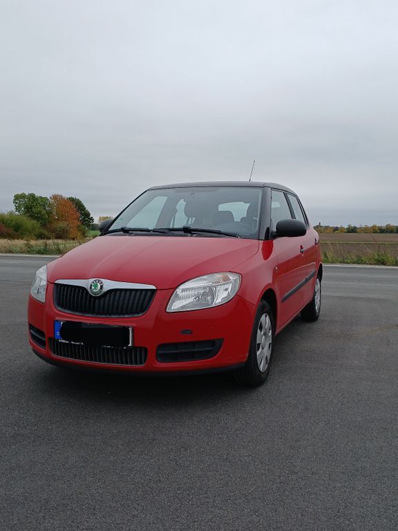 Skoda Fabia 173.000 km 2.900 € Königslutter 38154