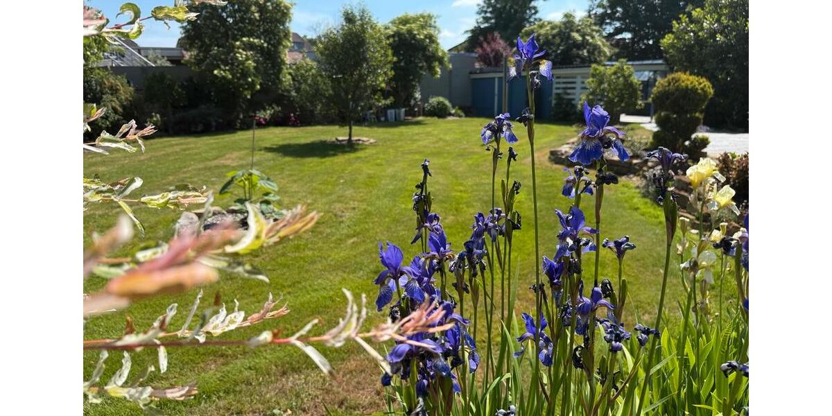 Bungalow Velpke - 5 Zimmer, 211 m&sup2;, 673.000&euro; | Angebot:27083454