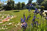 Bungalow Velpke - 5 Zimmer, 211 m&sup2;, 673.000&euro; | Angebot:27083454