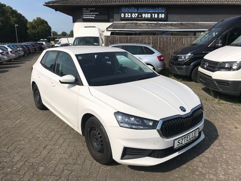 Skoda Fabia 185.259 km 10.999 € Braunschweig 38110