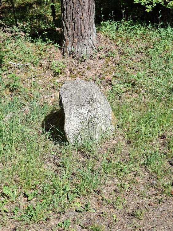 Waldflächen nahe Gifhorn - Kein Bauland