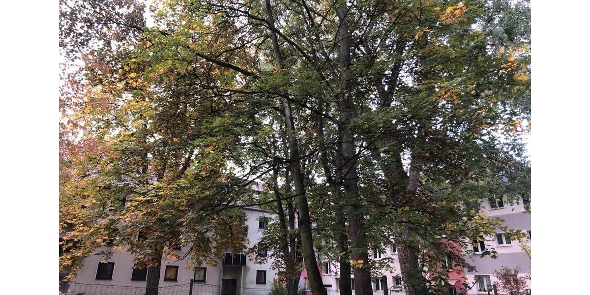 Hochparterre Braunschweig Lehndorf-Watenbüttel - 3 Zimmer, 73 m&sup2;, 145.900&euro; | Angebot:26592109