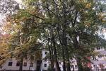 Hochparterre Braunschweig Lehndorf-Watenbüttel - 3 Zimmer, 73 m&sup2;, 145.900&euro; | Angebot:26592109