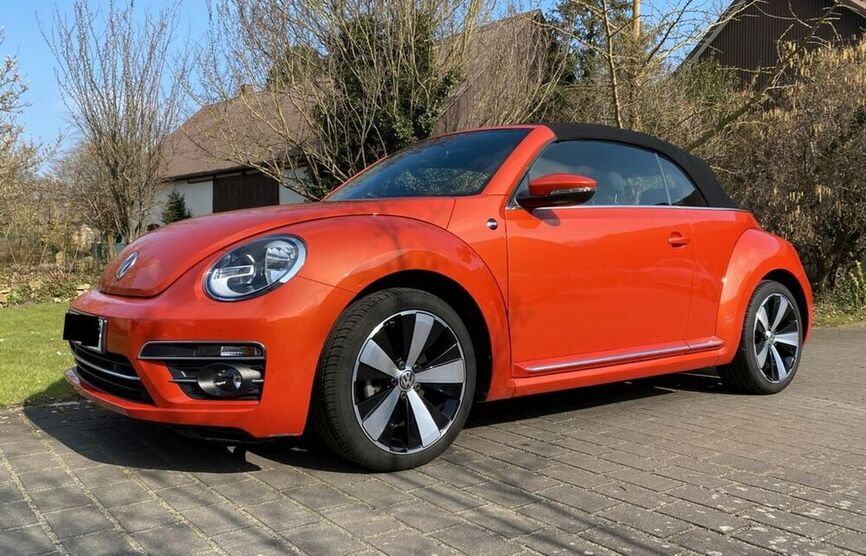 Beetle