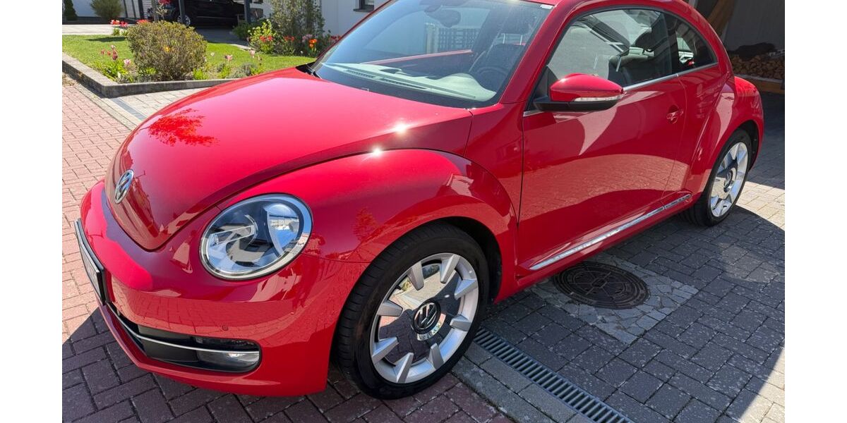 VW Beetle 51.000 km 11.900 &euro; Flechtorf 38165