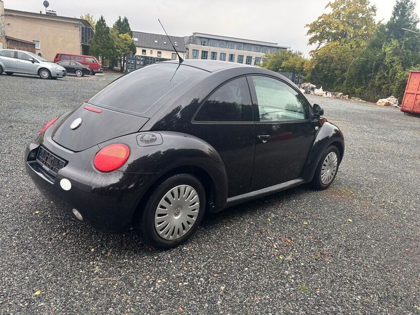 Beetle
