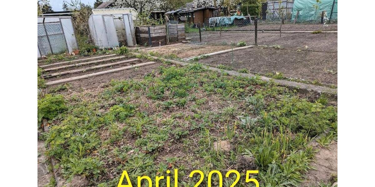 Grundstück Wolfsburg Detmerode - 550&euro; | Angebot:26258125