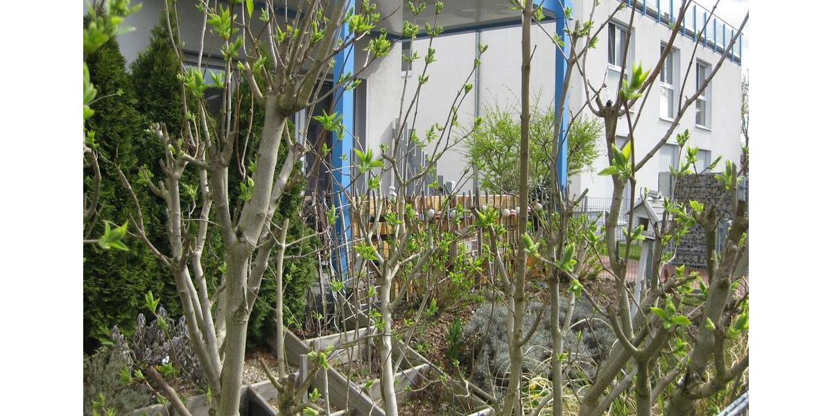 Erdgeschoßwohnung Meine - 2 Zimmer, 81 m&sup2;, 885&euro; | Angebot:26482107
