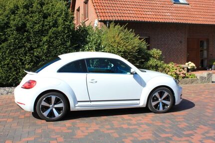 VW Beetle