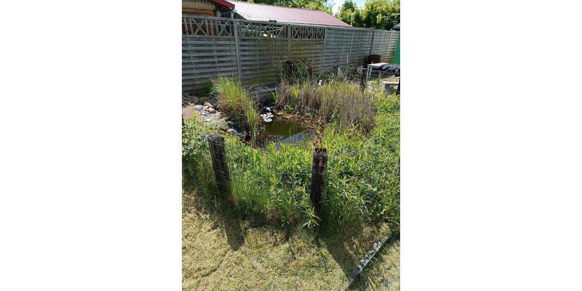 Grundstück Cremlingen - 500&euro; | Angebot:26618162
