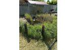 Grundstück Cremlingen - 500&euro; | Angebot:26618162