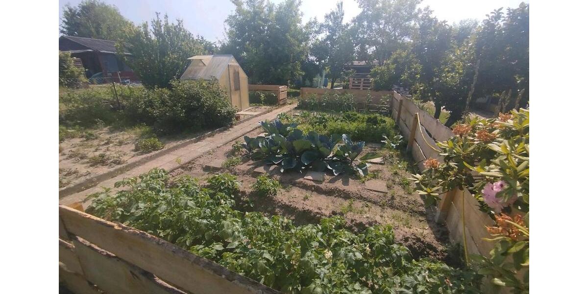 Grundstück Wolfsburg Ehmen - 1.399&euro; | Angebot:24513132