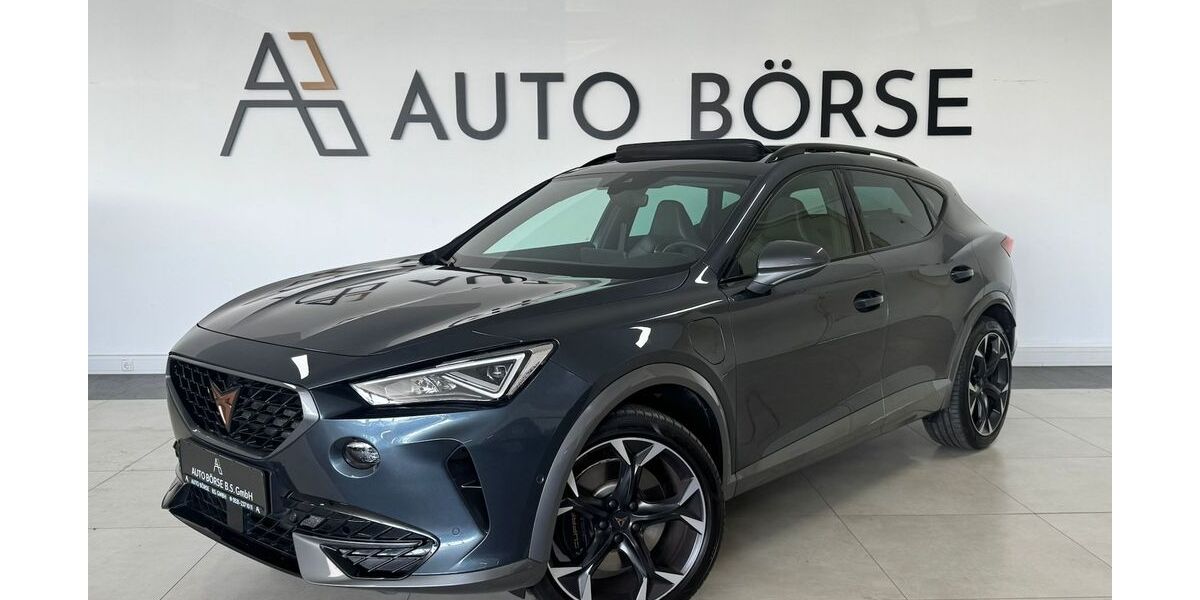 Cupra Formentor 91.000 km 24.890 &euro; Braunschweig 38114