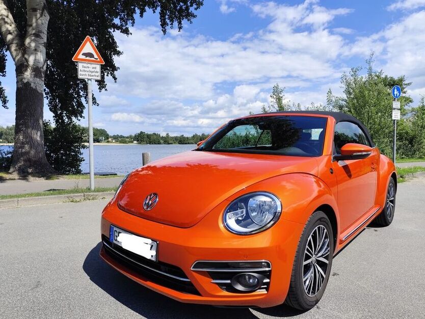 Beetle