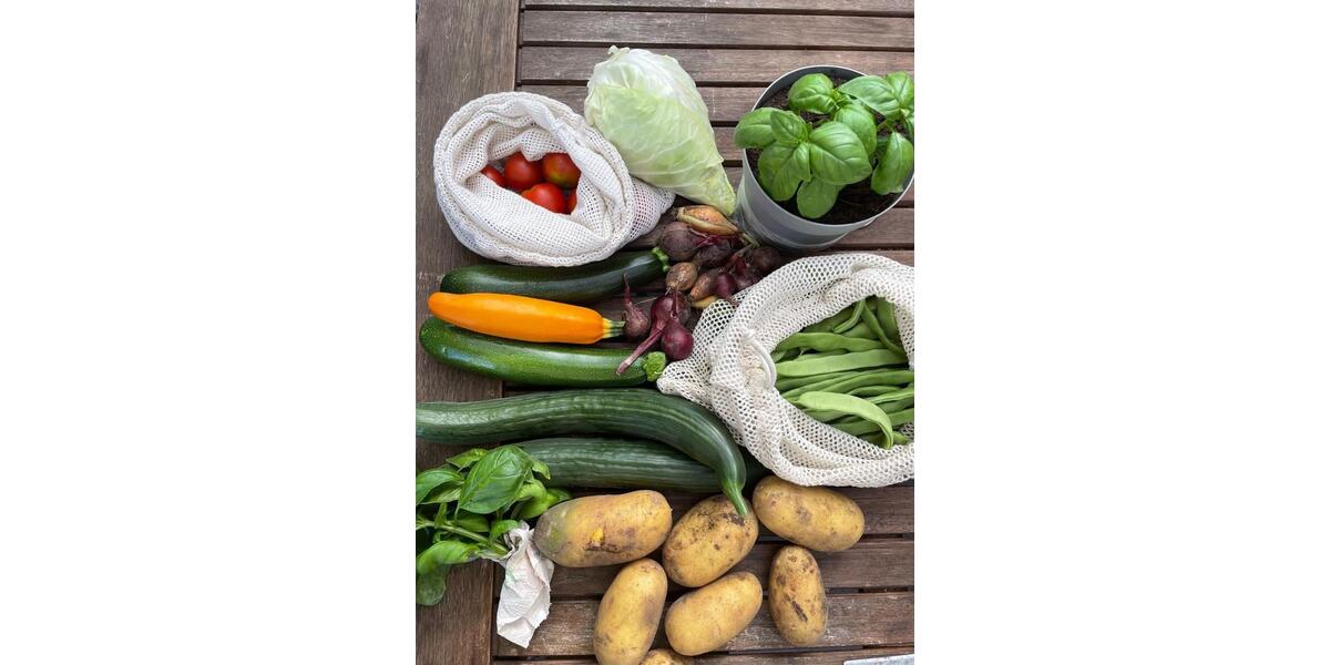 Grundstück Braunschweig Östliches Ringgebiet - 1.750&euro; | Angebot:26048459