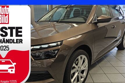 Skoda Kamiq 59.600 km 17.900 € Wolfsburg-Heiligendorf 38444