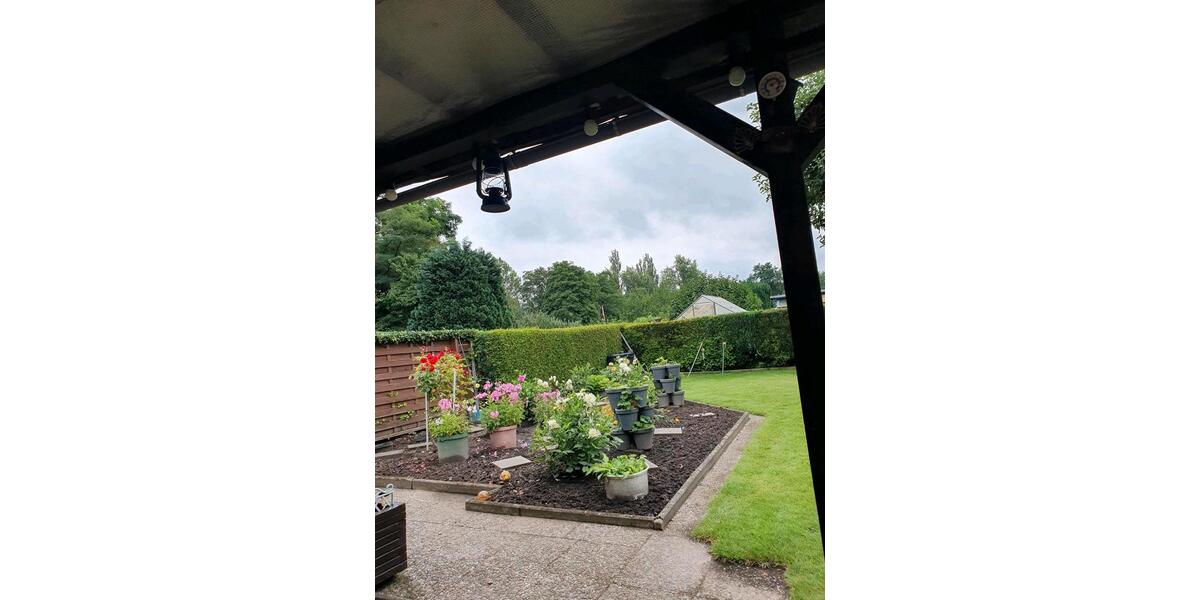 Kleingarten ab sofort zu verkaufen. BS Nord. zimmer