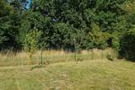 Grundstück Braunschweig Wabe-Schunter-Beberbach - 500&euro; | Angebot:26453858