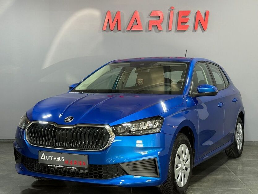 Skoda Fabia 1.142 km 13.990 € Braunschweig 38112
