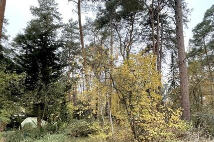 1.301 M² GRUNDSTÜCK IN BESTER LAGE VON GIFHORN – IDEAL FÜR IHR WOHNPROJEKT zimmer