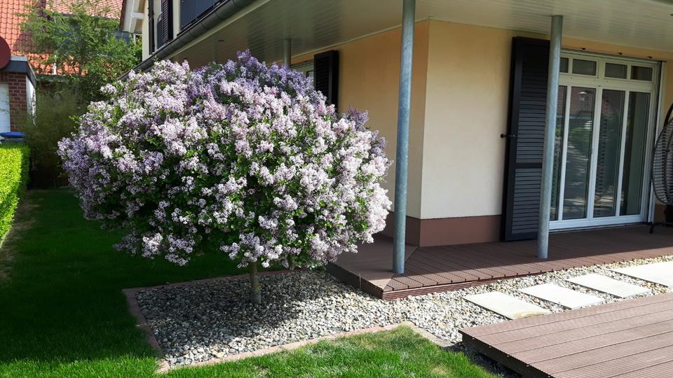 Einfamilienhaus Wolfsburg Ehmen - 7 Zimmer, 191 m&sup2;, 860.000&euro; | Angebot:25614392