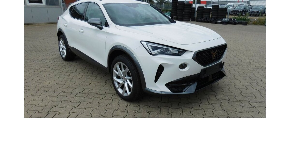 Cupra Formentor 1.5 TSI BMT Klima LED Alu 18.400 km 21.990 € Vordorf 38533
