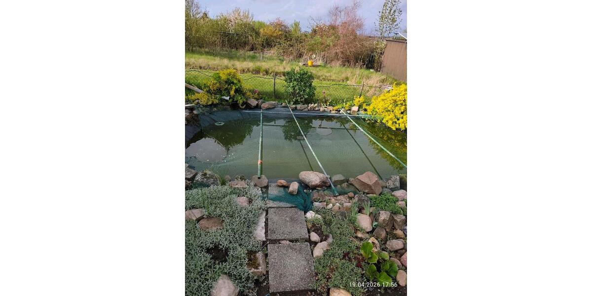 Grundstück Braunschweig Östliches Ringgebiet - 1.700&euro; | Angebot:26229083