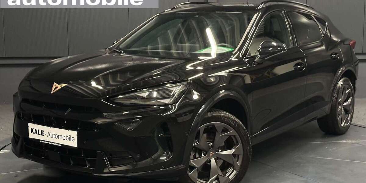 Cupra Formentor 29.000 km 29.890 &euro; Helmstedt 38350
