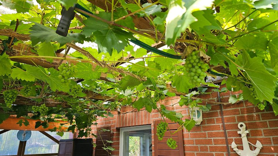 Einfamilienhaus Wolfsburg Ehmen - 12.700&euro; | Angebot:26153411