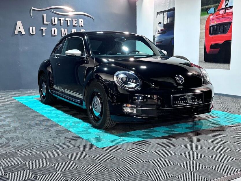 Beetle