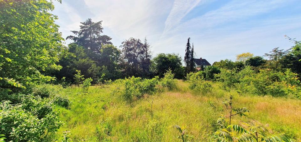 Mehrfamilienhaus, Wohnhaus Wagenhoff - 11 Zimmer, 285 m&sup2;, 265.000&euro; | Angebot:26636687