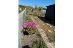 Grundstück Braunschweig Lehndorf-Watenbüttel - 2.500&euro; | Angebot:26223420