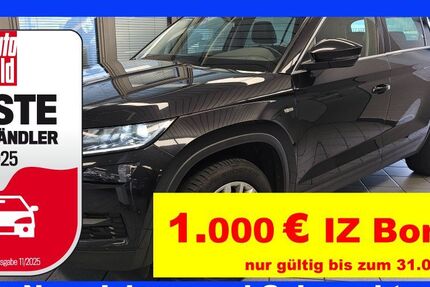Skoda Kodiaq 197.000 km 19.900 &euro; Wolfsburg-Heiligendorf 38444