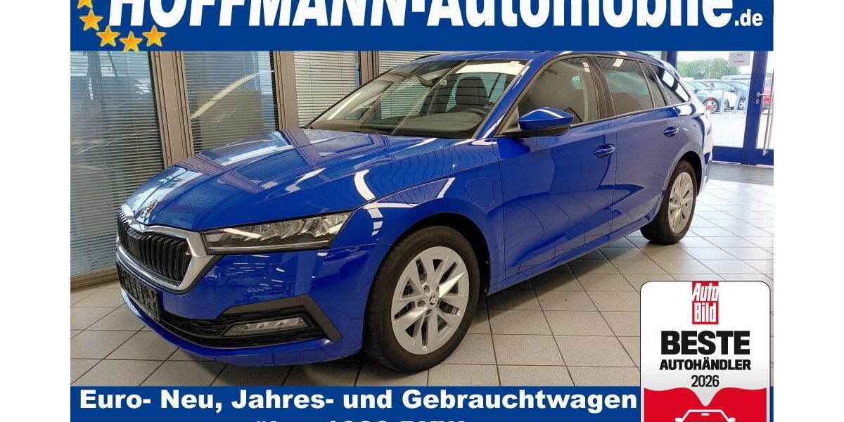 Skoda Octavia 99.587 km 19.700 &euro; Wolfsburg-Heiligendorf 38444