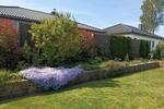 Bungalow Sassenburg - 4 Zimmer, 344.000&euro; | Angebot:22852748