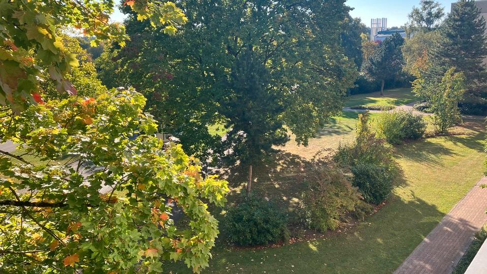 Komfort und Stil in Detmerode: Neu modernisierte 3-Zimmer-Wohnung 3 zimmer