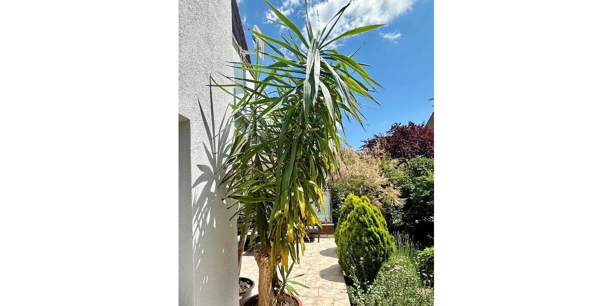 Sofort einziehen – 120 m² Wohnung – Kamin, Terrasse, Garten 2.5 zimmer