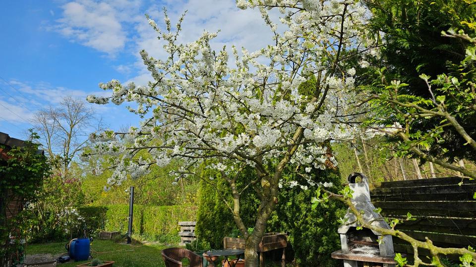 Einfamilienhaus Wolfsburg Ehmen - 12.700&euro; | Angebot:26153411