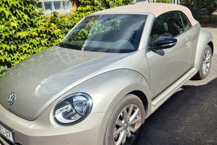 VW Beetle