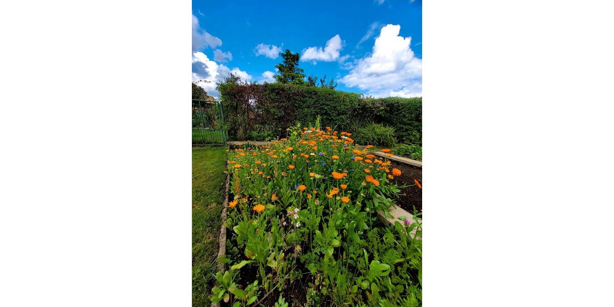 Grundstück Wolfsburg - 1.950&euro; | Angebot:26039327