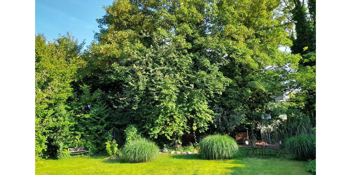 Doppelhaushälfte Meine - 6 Zimmer, 181 m&sup2;, 698.000&euro; | Angebot:26232563