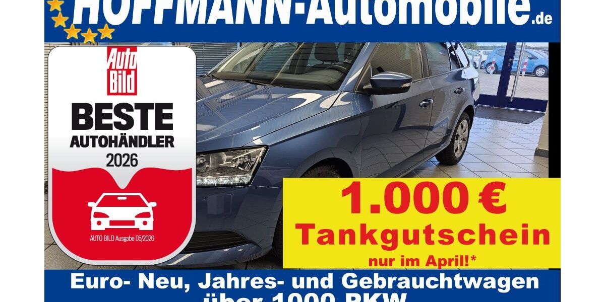 Skoda Fabia 93.592 km 11.900 &euro; Wolfsburg-Heiligendorf 38444