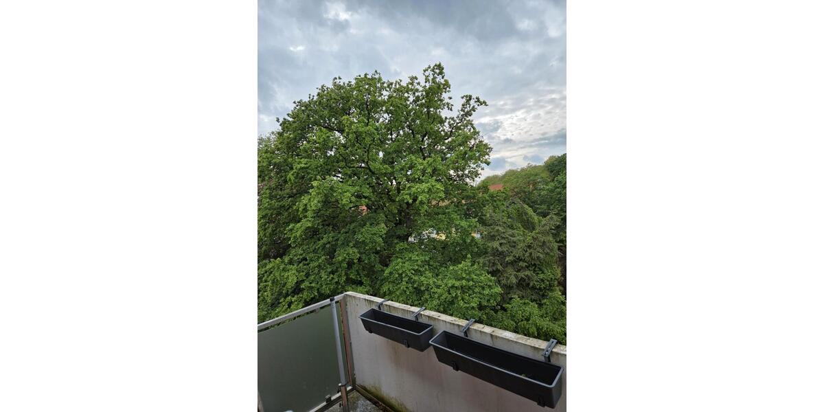 Dachgeschoßwohnung Braunschweig - 2 Zimmer, 47 m&sup2;, 540&euro; | Angebot:26634982